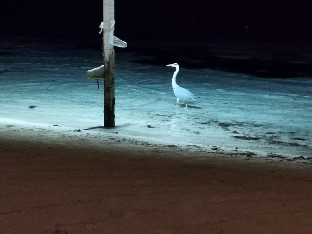 Endheri Sunset Dhangethi主图