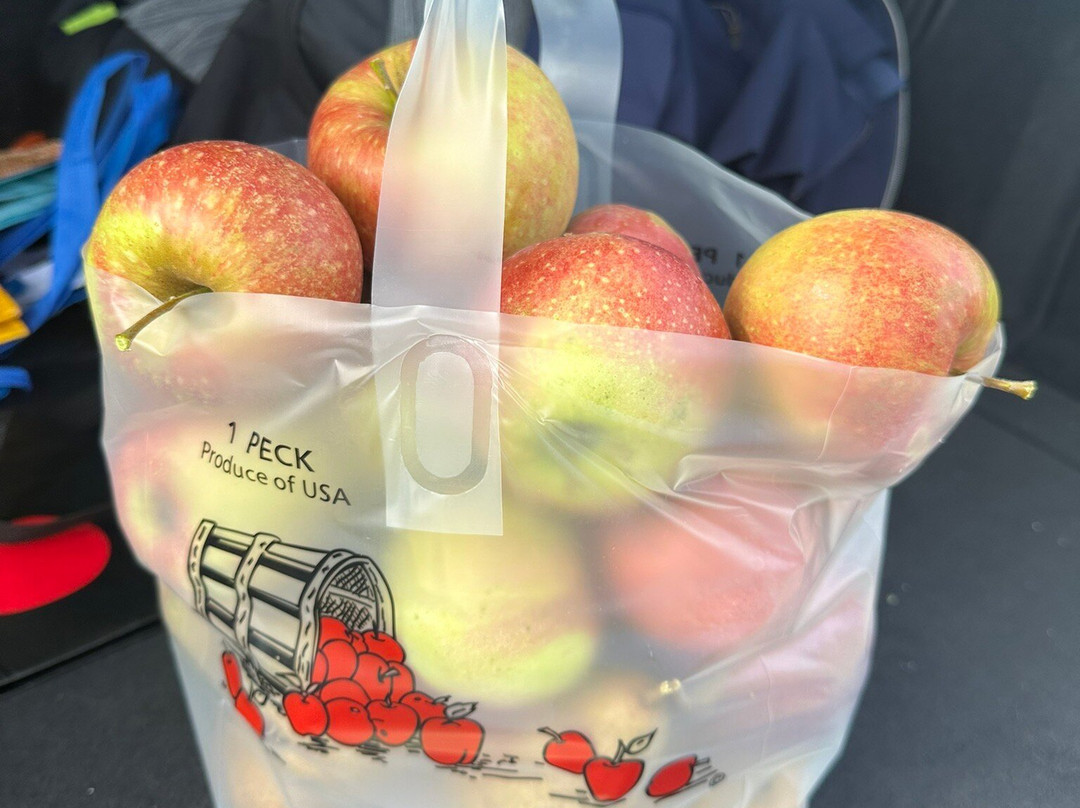 Blue Jay Orchards-Bethel必去景点