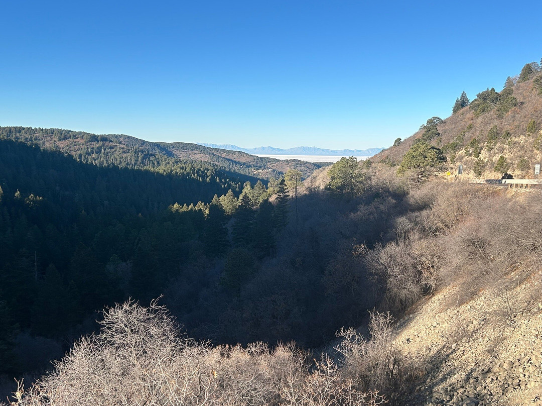 Mexican Canyon Trestle Vista