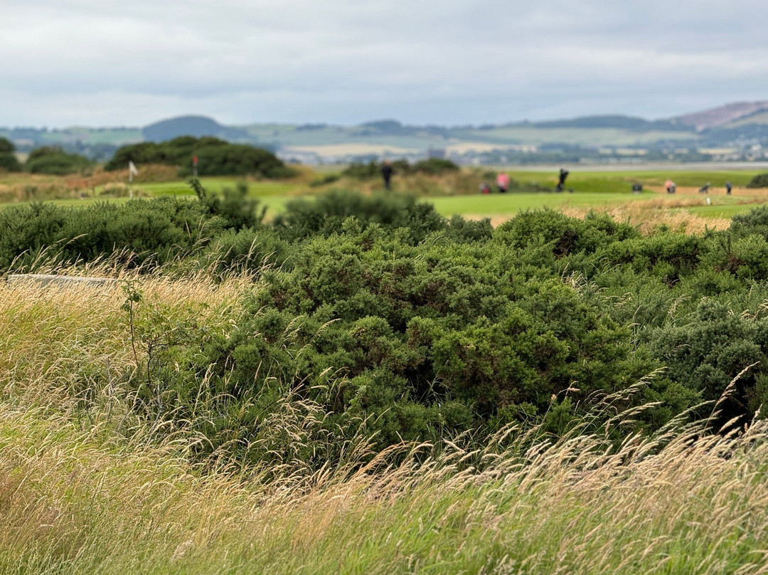 Old Course At St Andrews Links-圣安德鲁斯必去景点