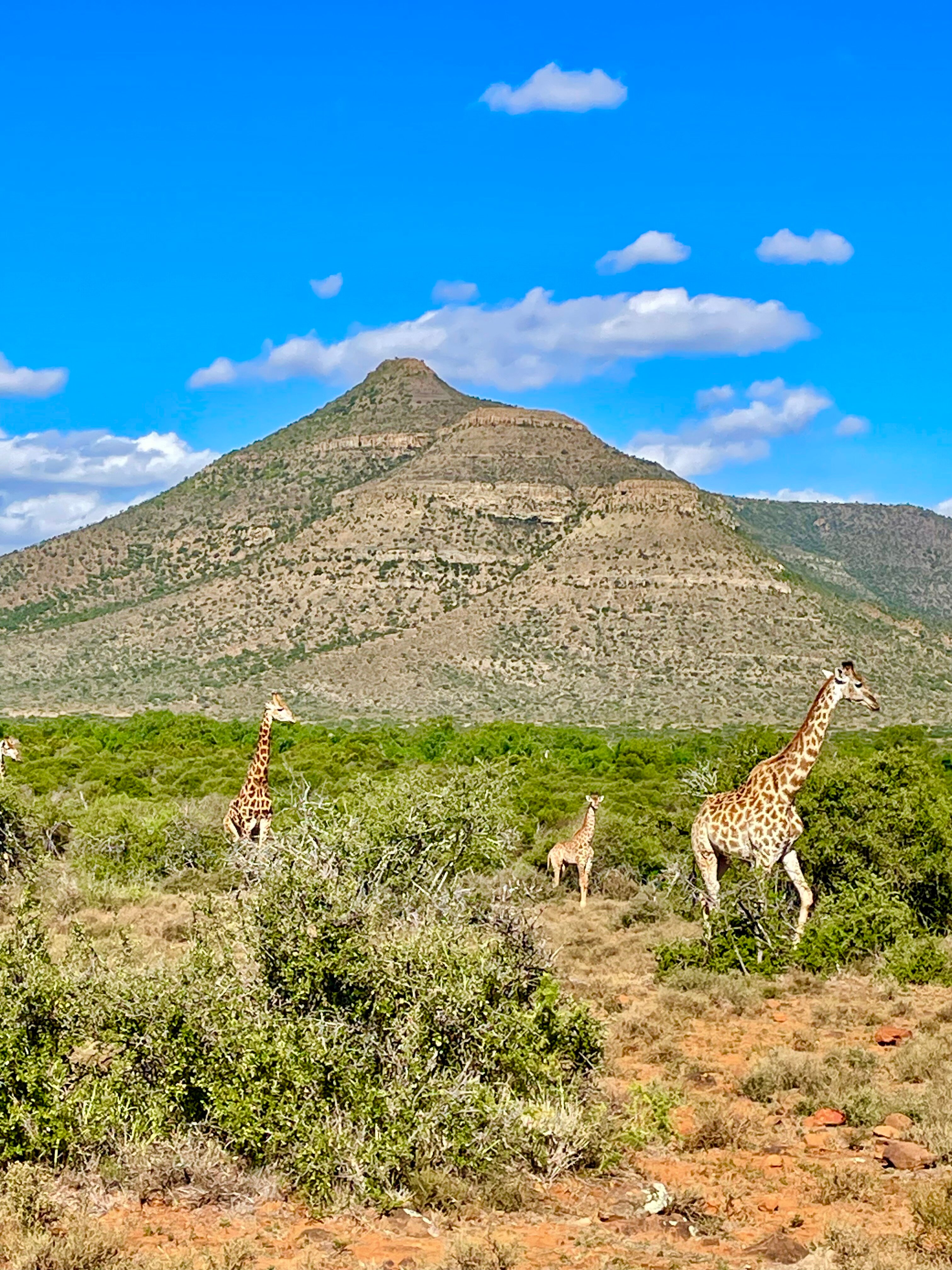 Samara Karoo Reserve-浴室