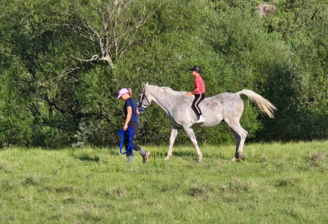 Oban Farm Stay Van Reenen主图