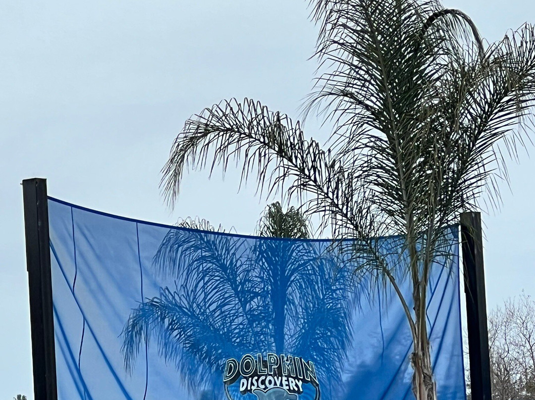 Six Flags Discovery Kingdom-瓦列霍必去景点