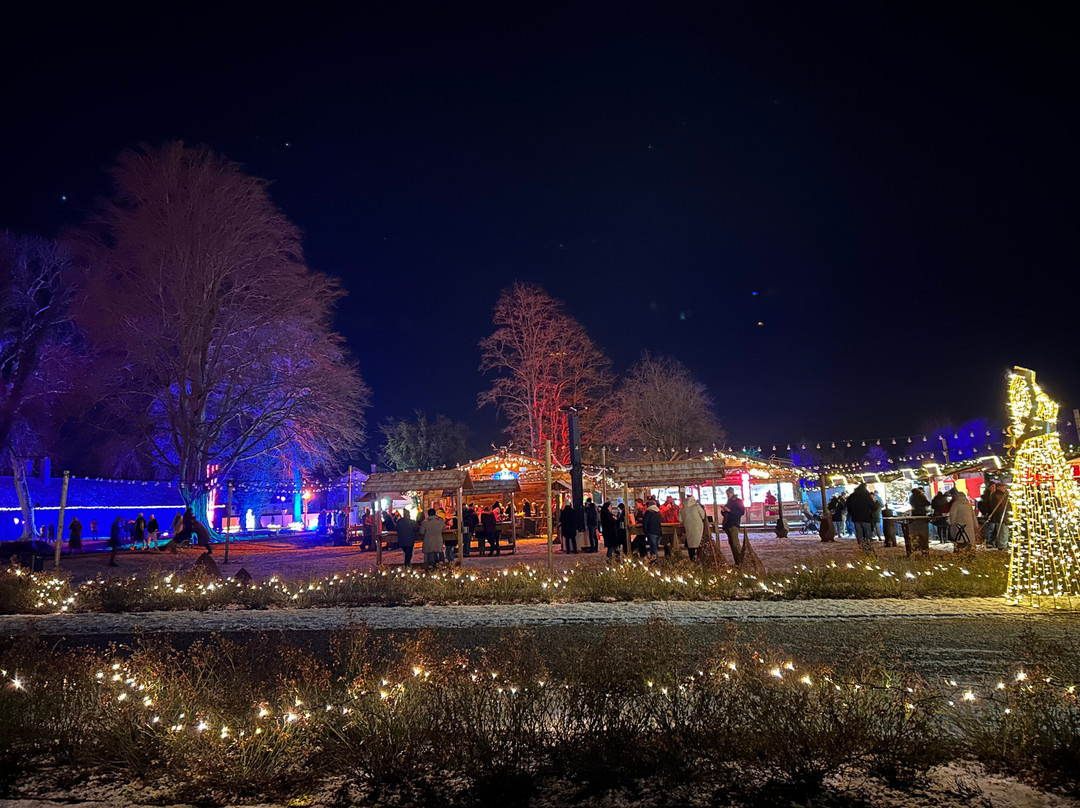 Romatischer Weihnachtsmarkt Schloss Tussling
