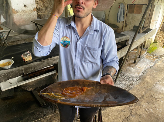 Finca La Arrinconada-麦德林必去景点