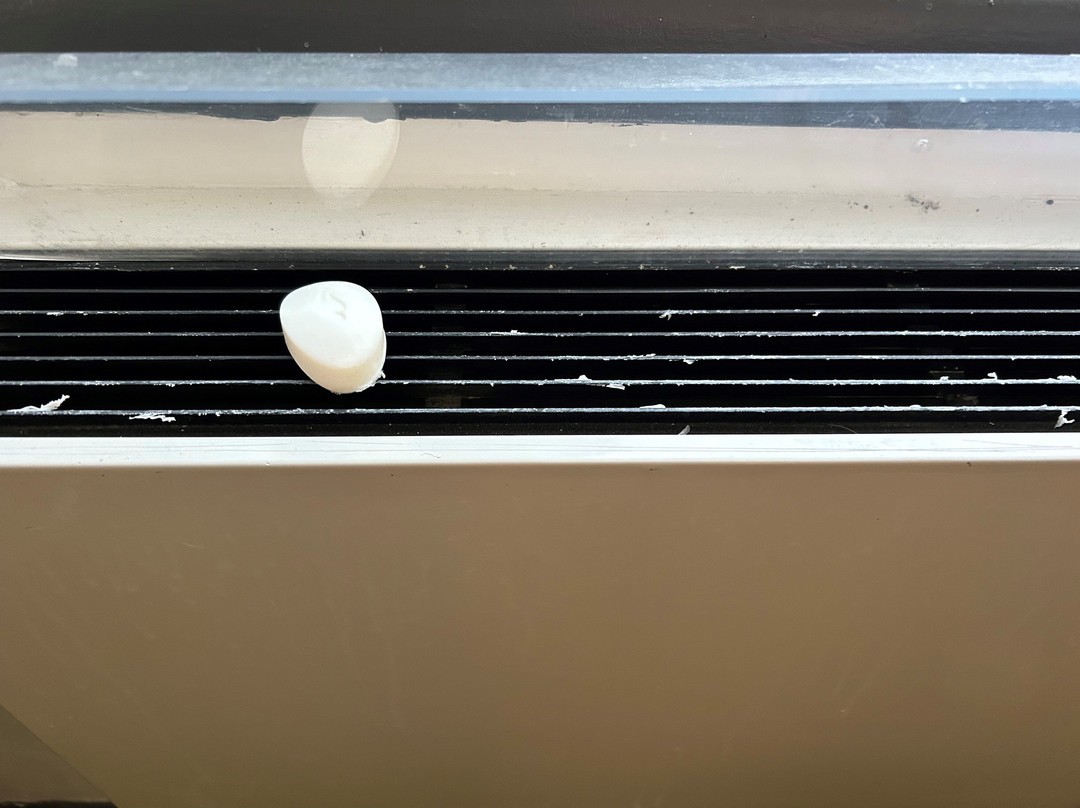 Super 8 by Wyndham Brockville主图