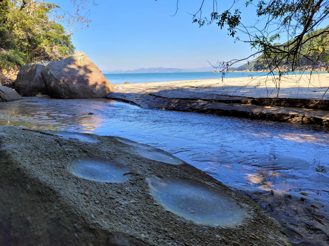 Trilha Costeira De Zimbros-Bombinhas必去景点