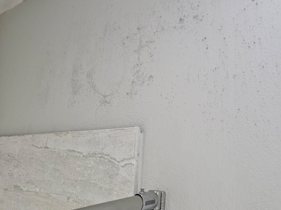 Hotel Lucia Beach主图