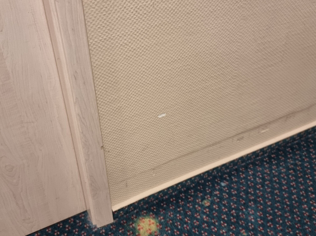 Hotel L'Escala主图