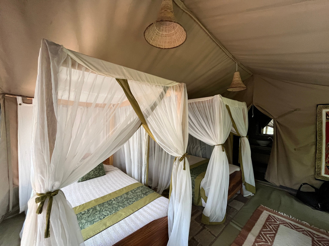 Rhino Watch Safari Lodge主图