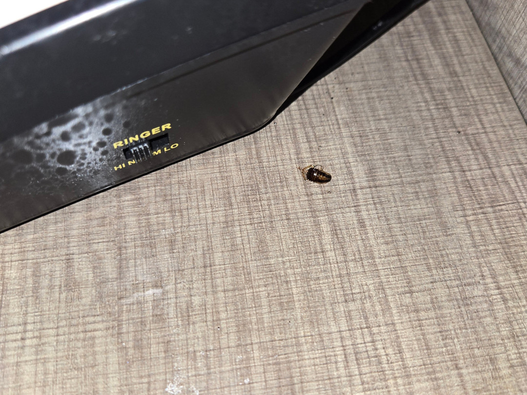 温彻斯特红顶客栈主图