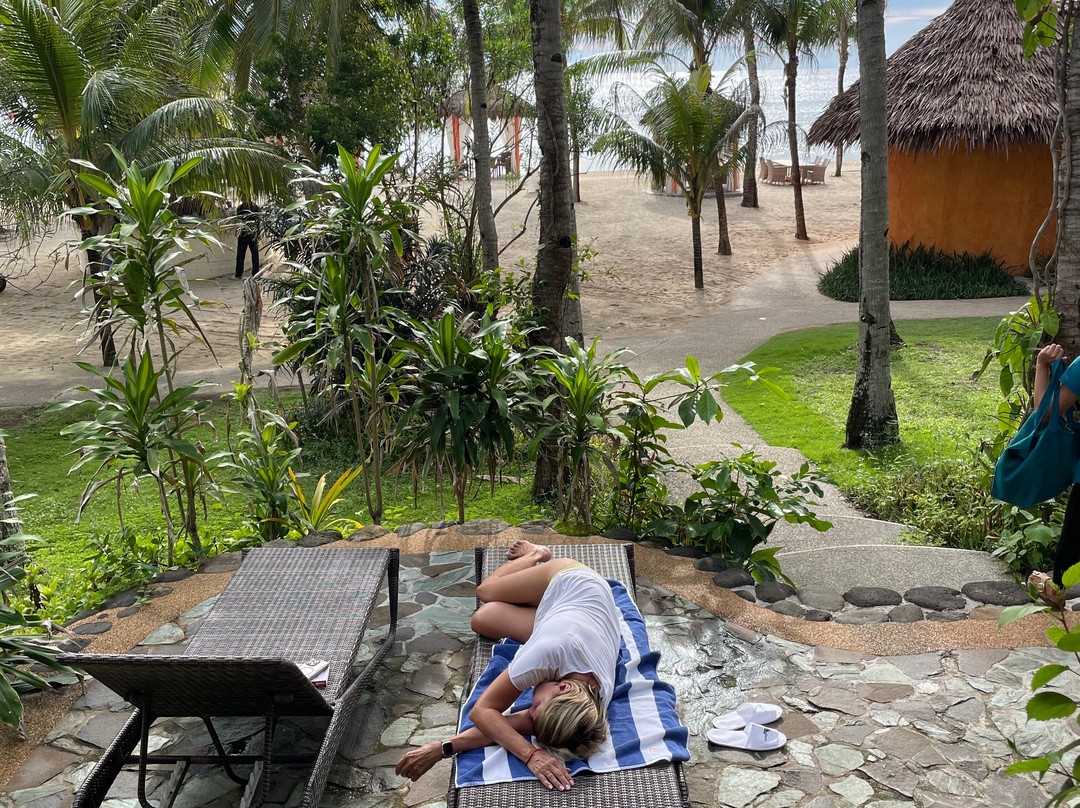 椰树林海滩度假村主图