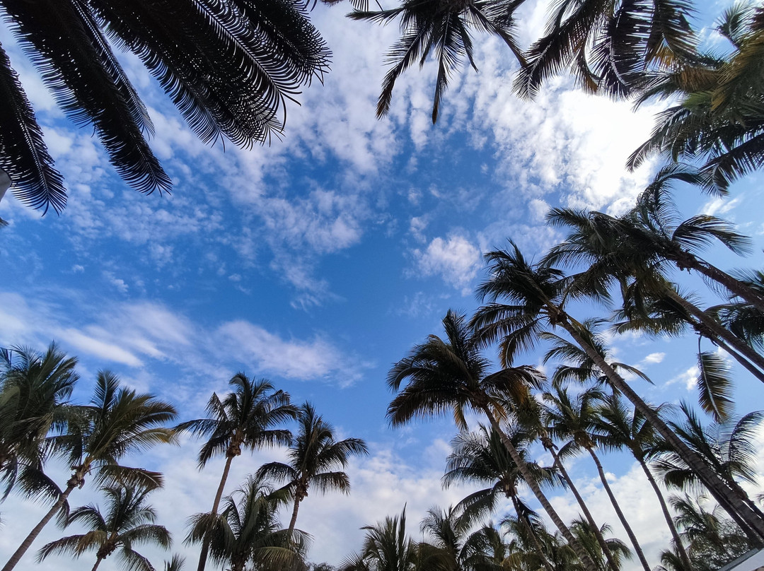 Casa Andina Standard Piura主图