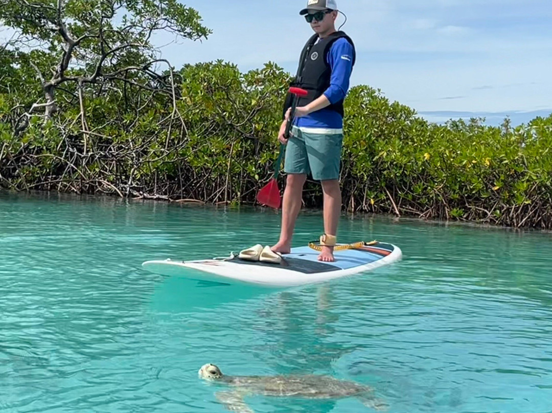 Sup Provo-普罗维登西亚莱斯必去景点