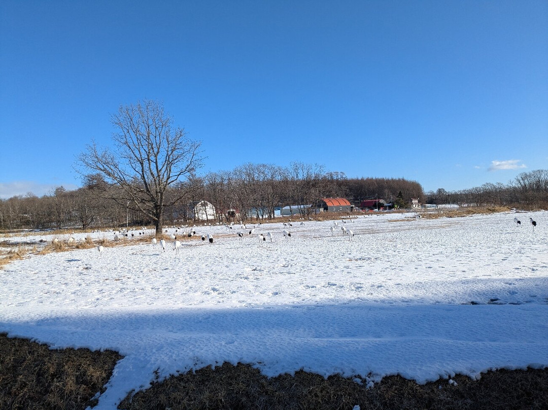 Tsurumidai-鹤居村必去景点