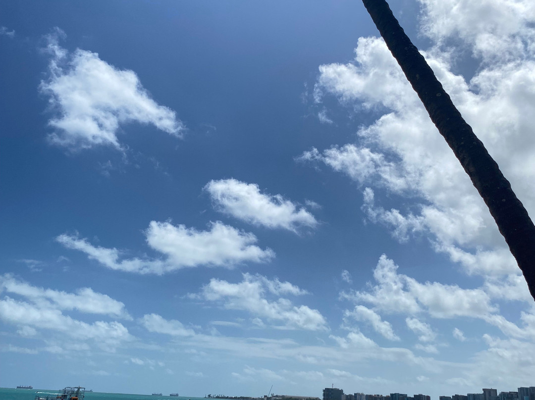 Maré Viva Passeios Turísticos-Maceio必去景点