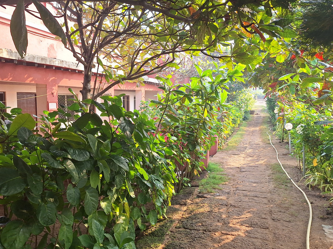 Hotel Pinkhouse主图