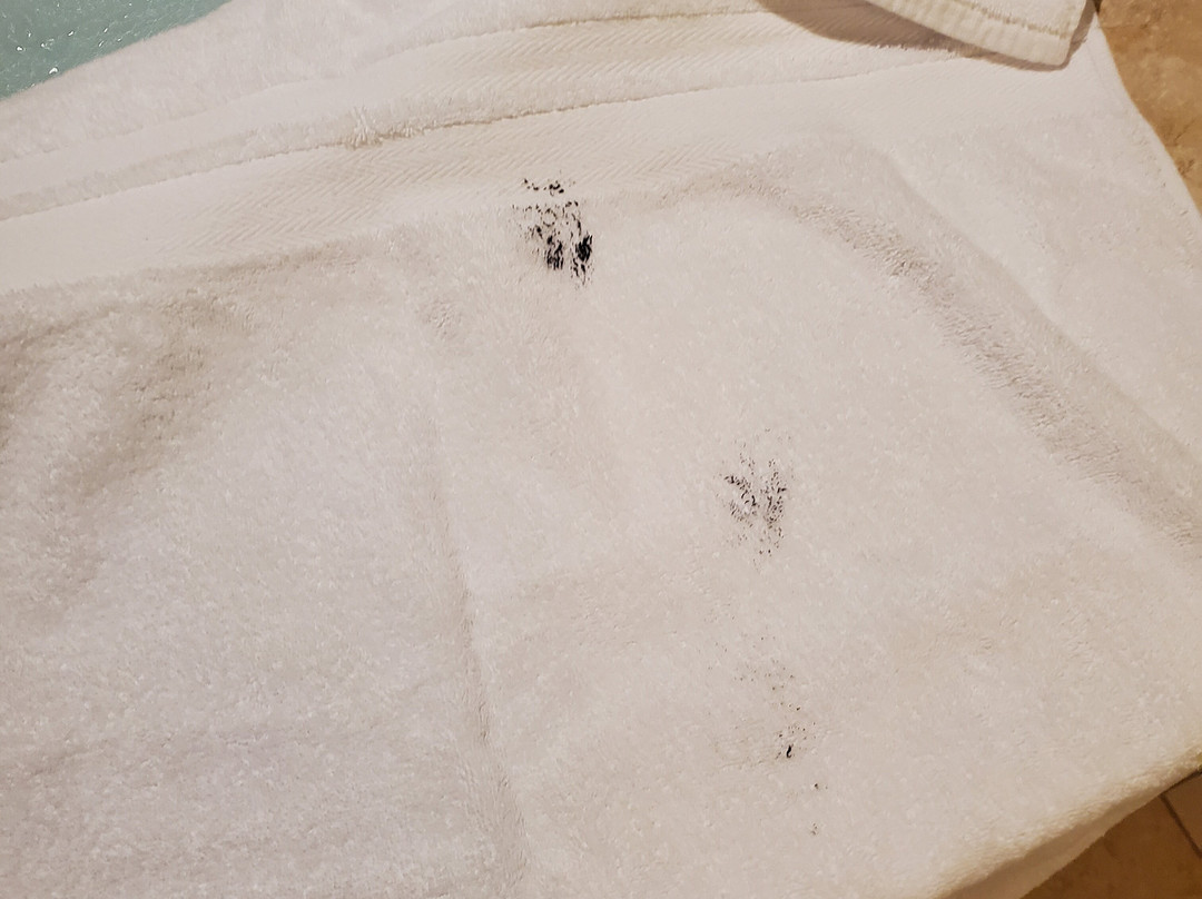 The Bard's Inn, BW Signature Collection主图