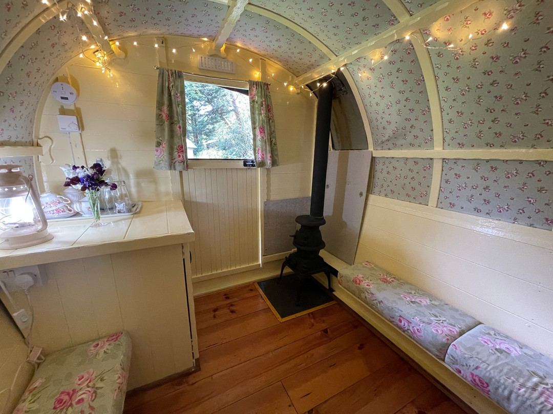 Fernwood Glamping