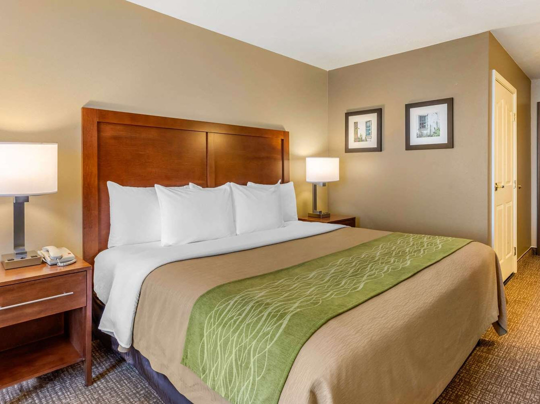 Comfort Inn & Suites El Centro I - 8主图