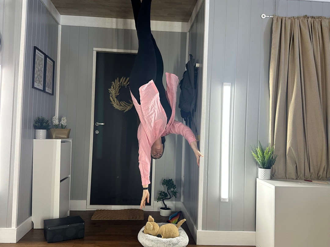 Upside Down House - Lakeside景点图片