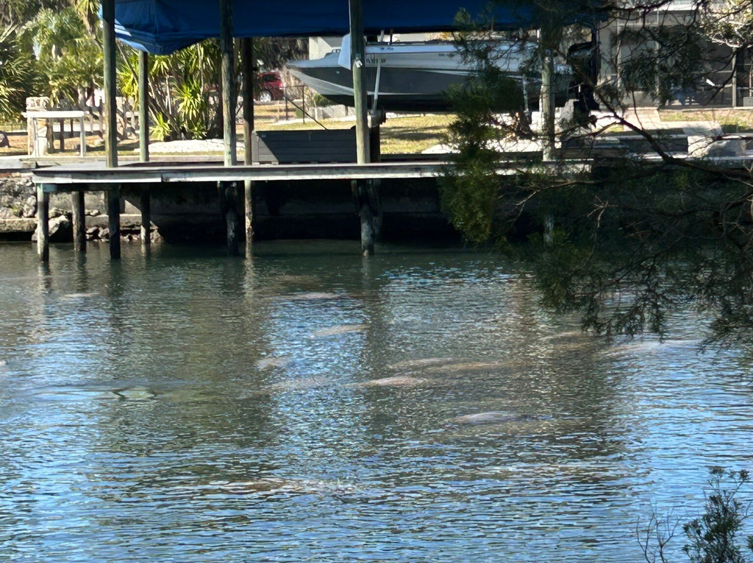 Crystal River National Wildlife Refuge-克里斯特尔里弗必去景点