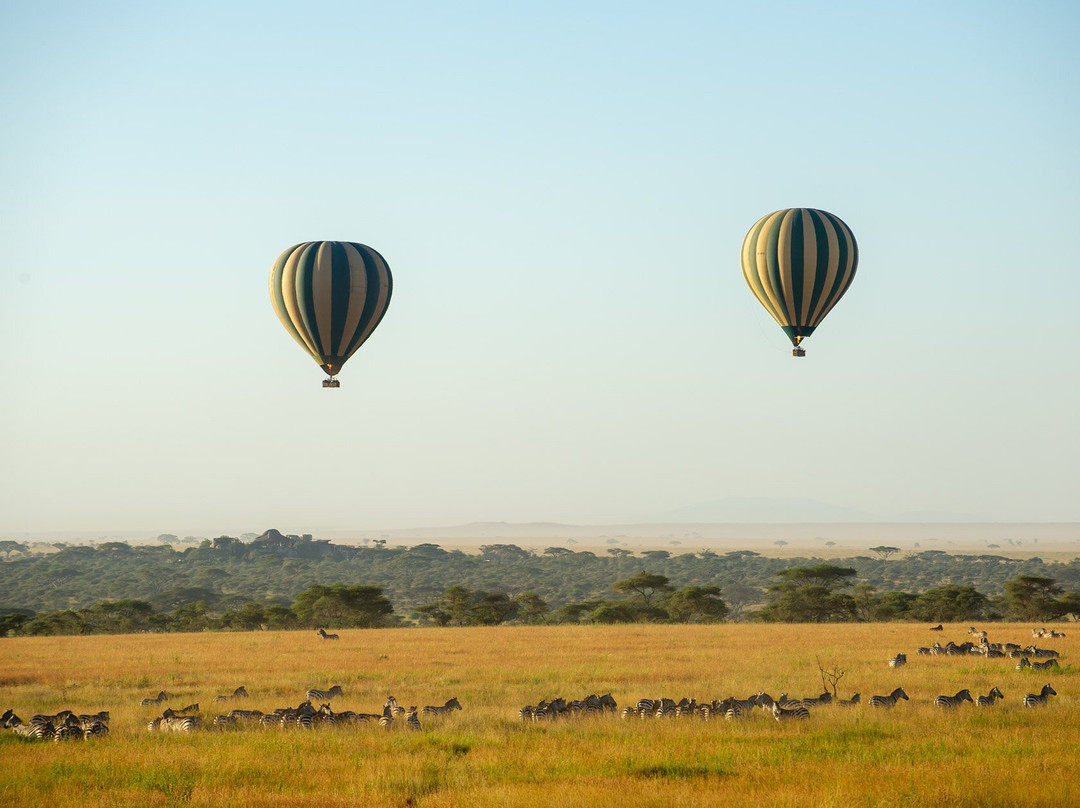 Serengeti Balloon Safaris-塞伦盖蒂国家公园必去景点