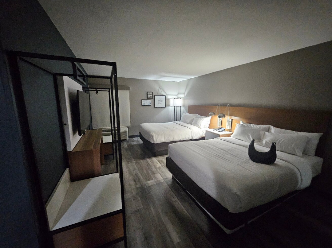 Four Points By Sheraton Alexandria主图