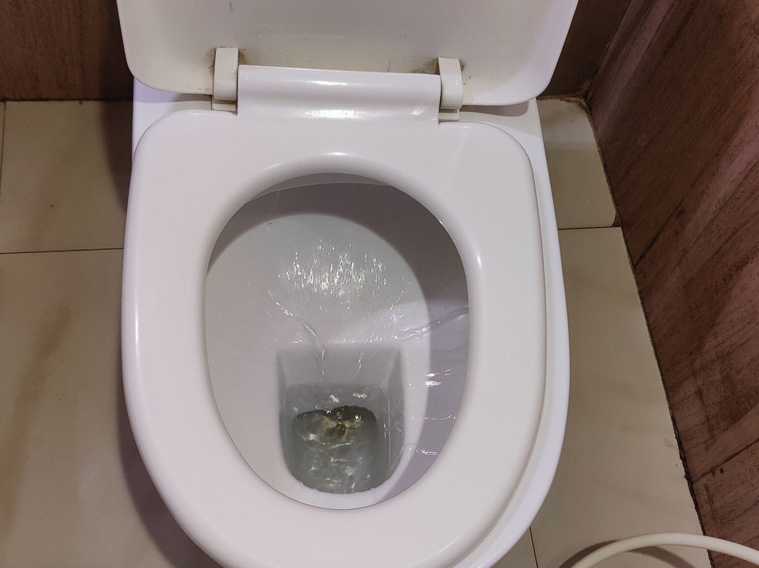 Hotel Sheela Towers主图