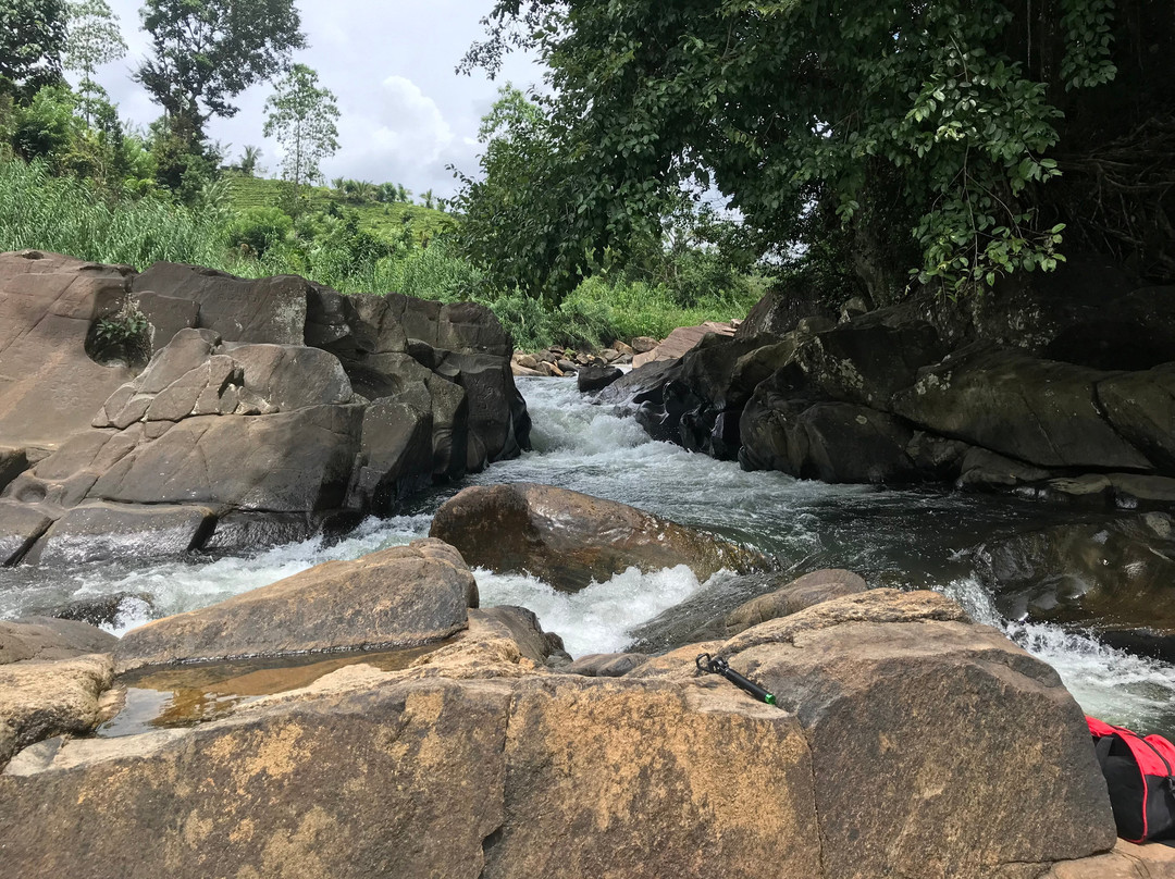 Singing Rivers-Nawalapitiya必去景点