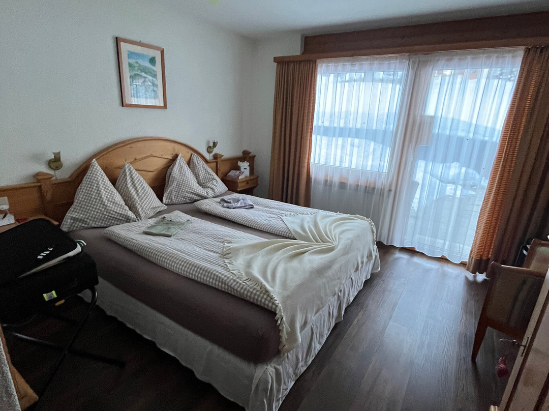 Hotel Bürchnerhof主图