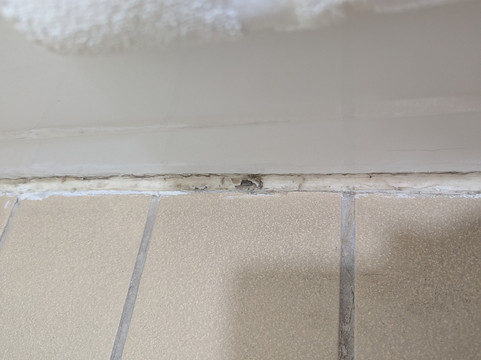 C Punch Inn & Casino主图