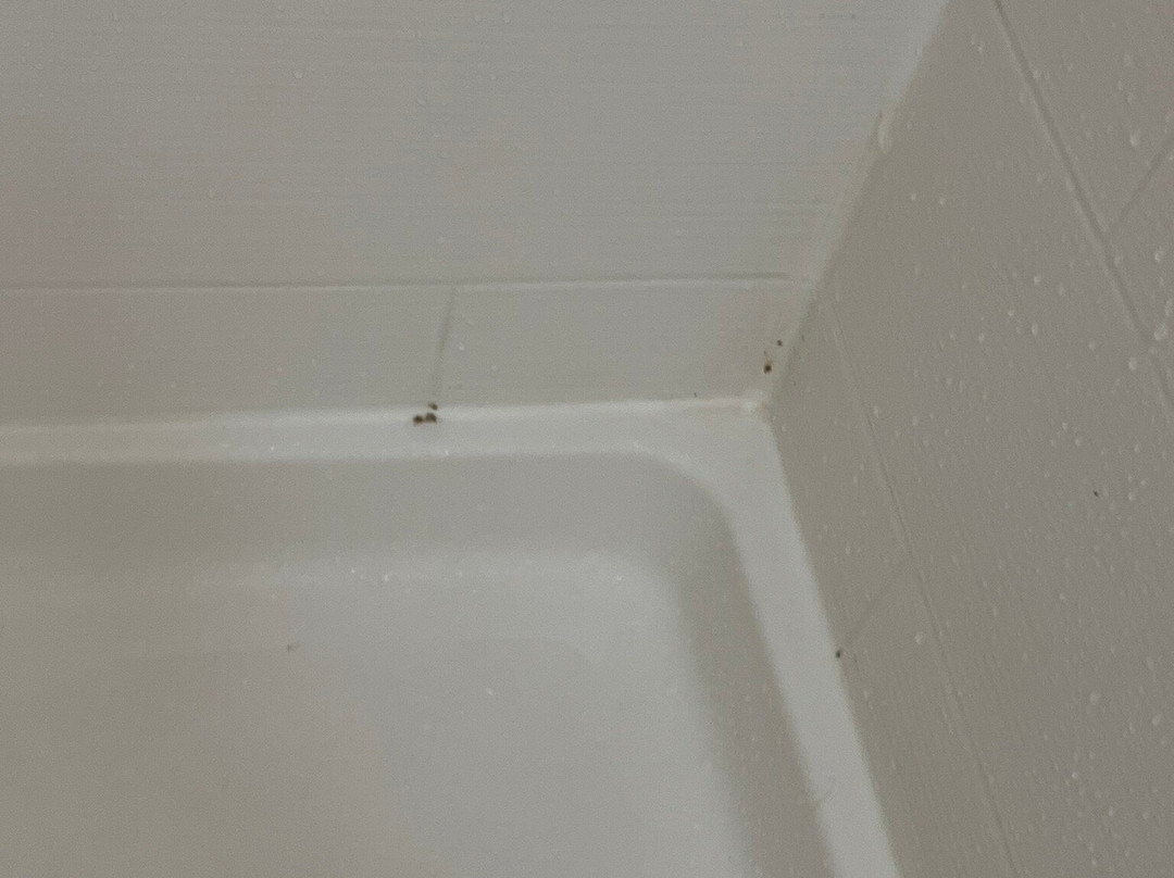 Holiday Inn Express & Suites La Grange - Louisville Area Ne By IHG主图