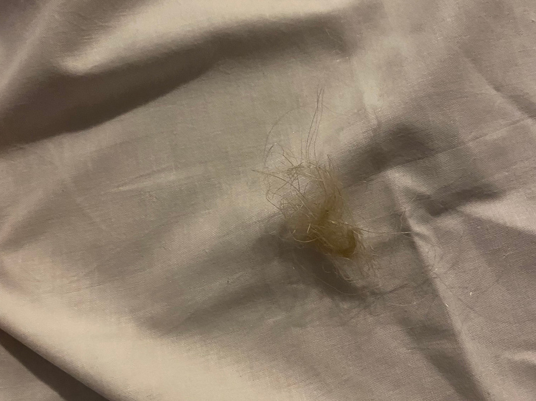 奥达利斯雪前公寓主图