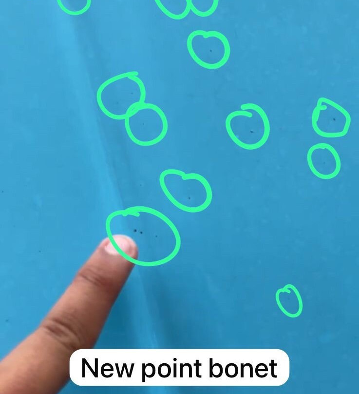 Forza Car Rental-吉隆坡必去景点