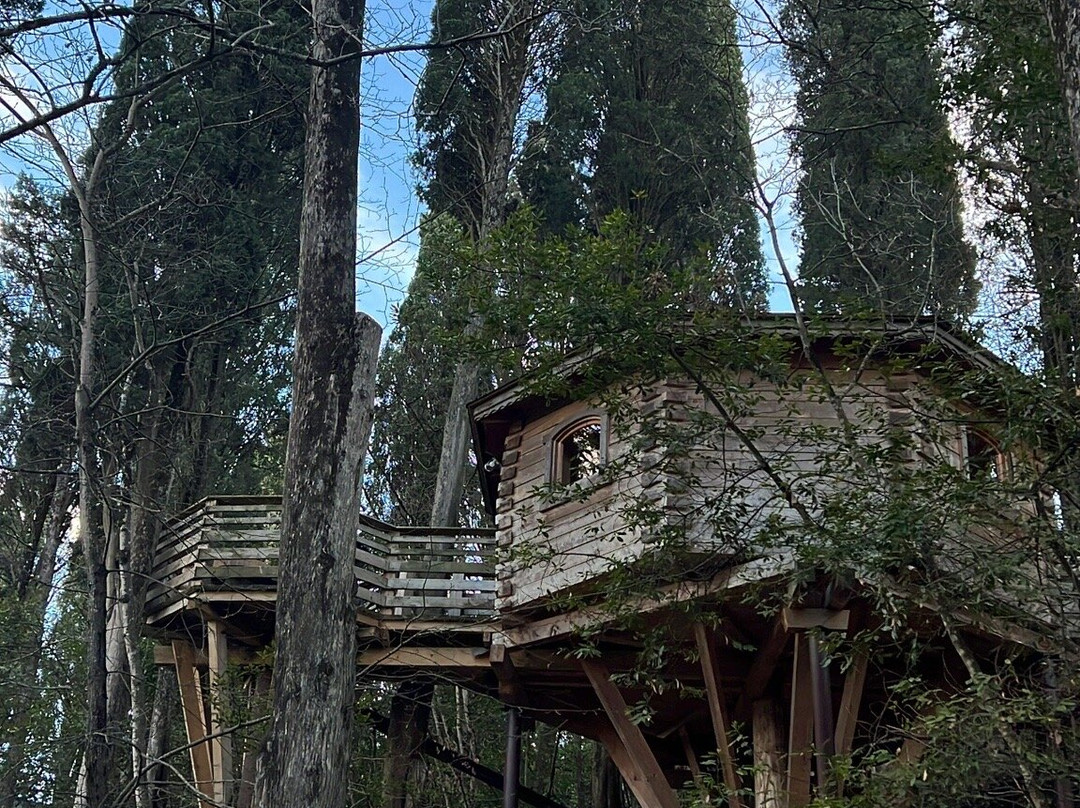Les Cabanes Dans Les Bois  Logis Hôtel主图