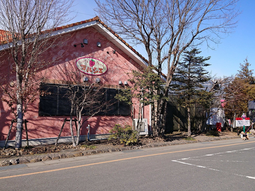 Ichigo No Sato-小山市必去景点