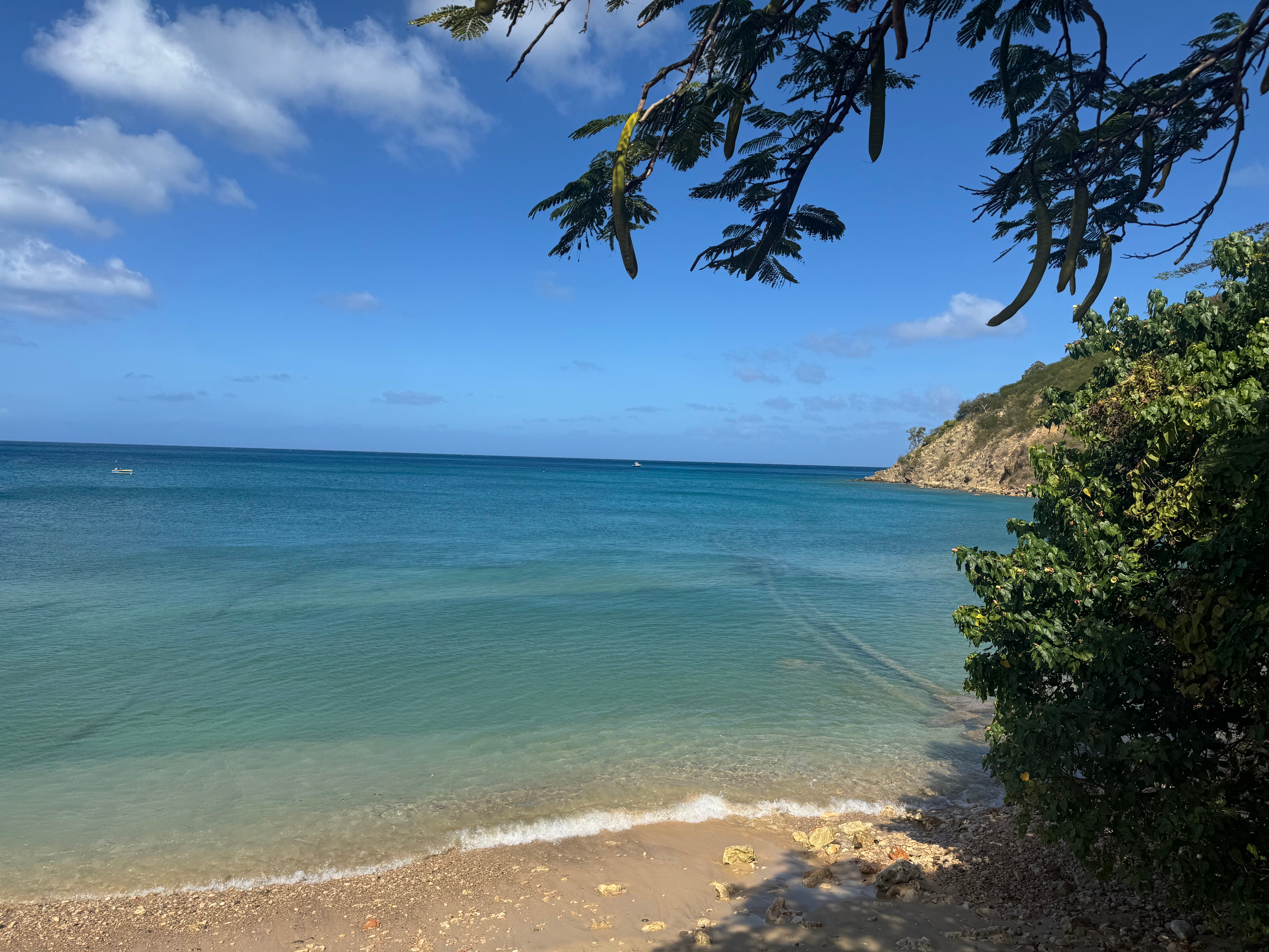 Aurora Anguilla Resort & Golf Club-泳池