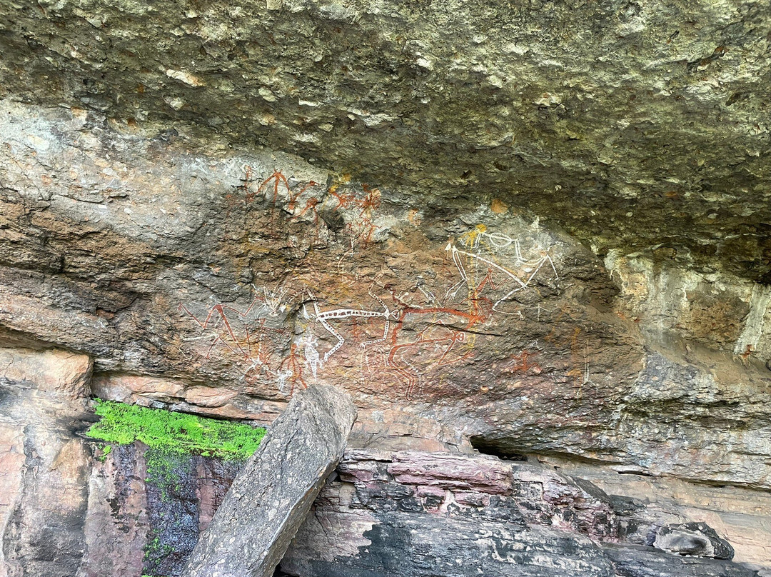 Kakadu National park景点图片