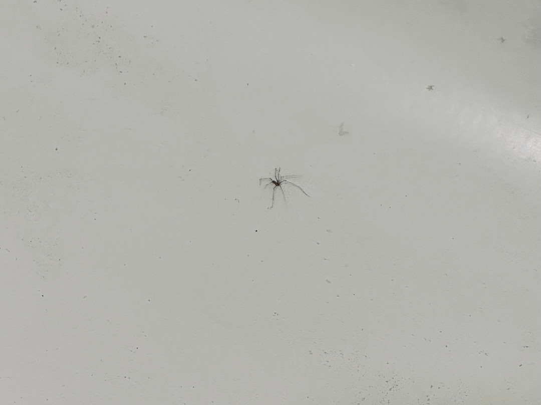 底特律特洛伊麦迪逊高地原住客栈主图