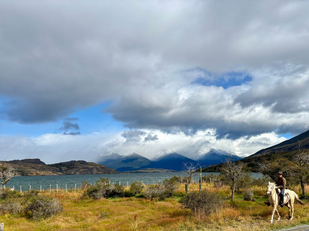 Pingo Salvaje-纳塔莱斯港必去景点