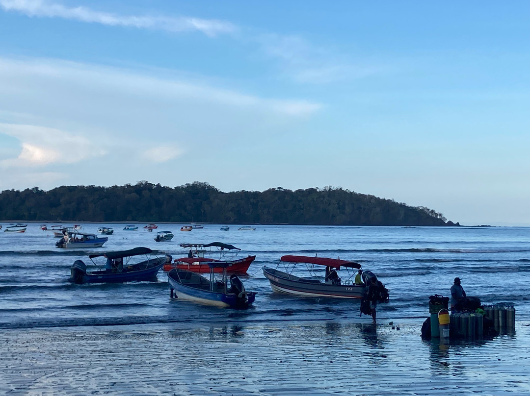 Coiba Dive Center景点图片