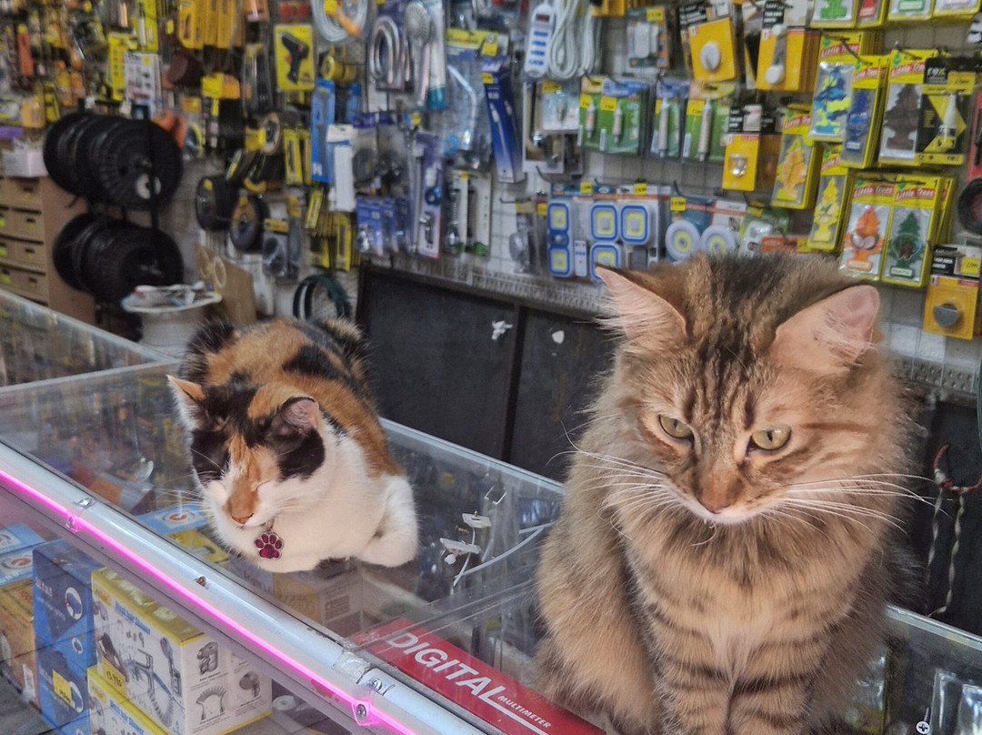 Iglesia de La Merced-圣地亚哥必去景点