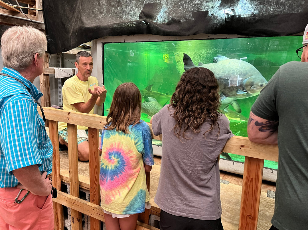 Fish Story Aquarium and Rescue-那不勒斯必去景点