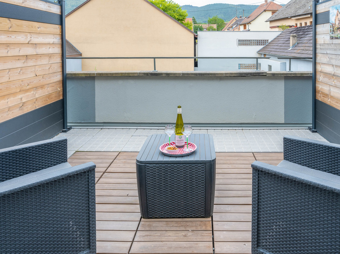 Hôtel Colmar Vignes主图
