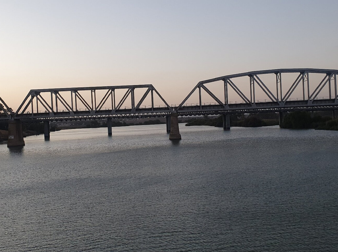 Proud Mary - Murray River Day Cruises景点图片
