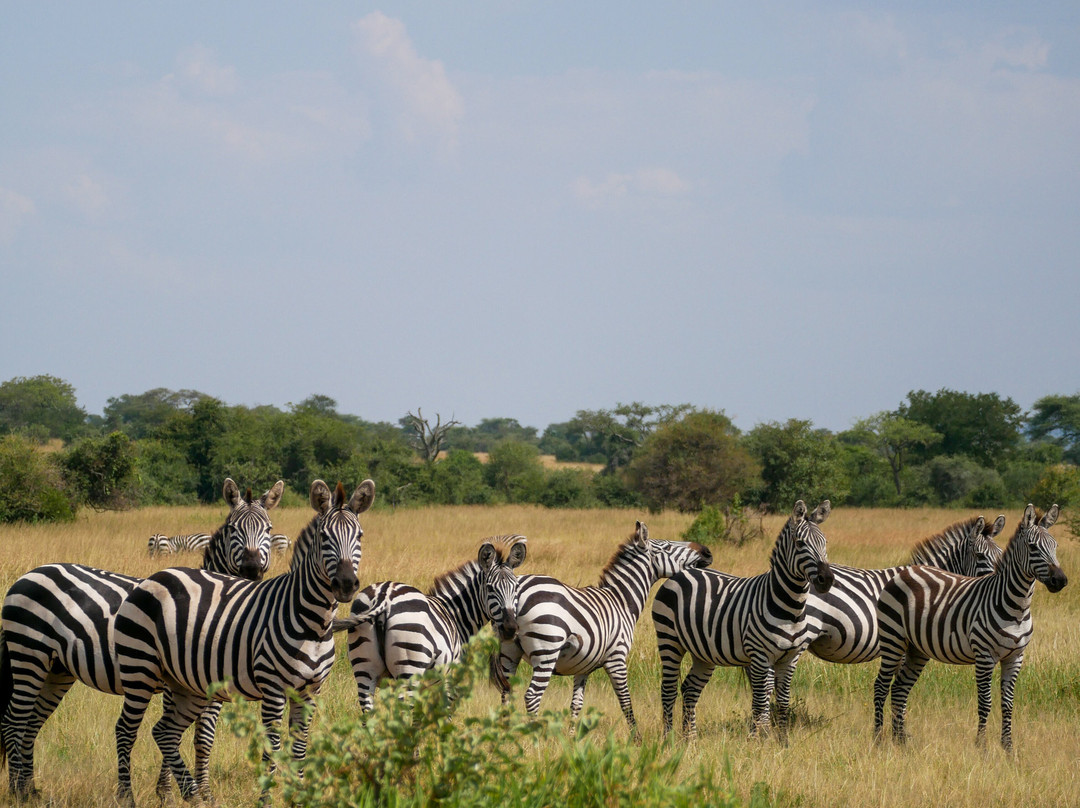 Priva Safaris and Adventures-姆万扎必去景点