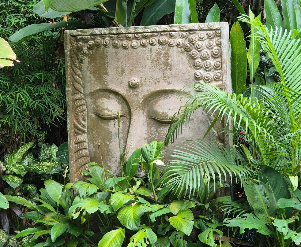 乌布苏亚拉空气豪华别墅主图