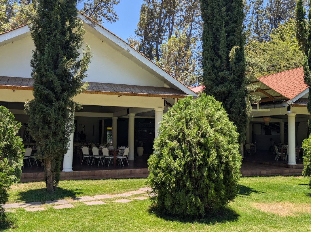 Amani Safari Lodge主图