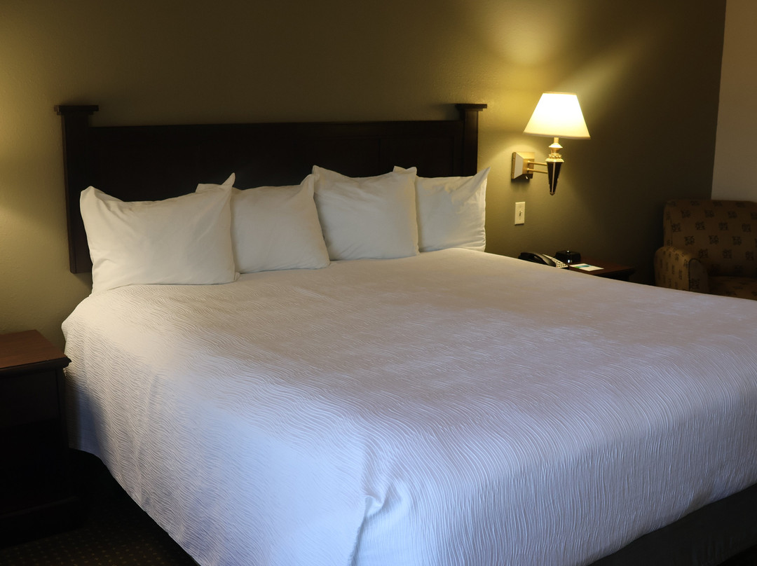 Wingate By Wyndham Peoria主图